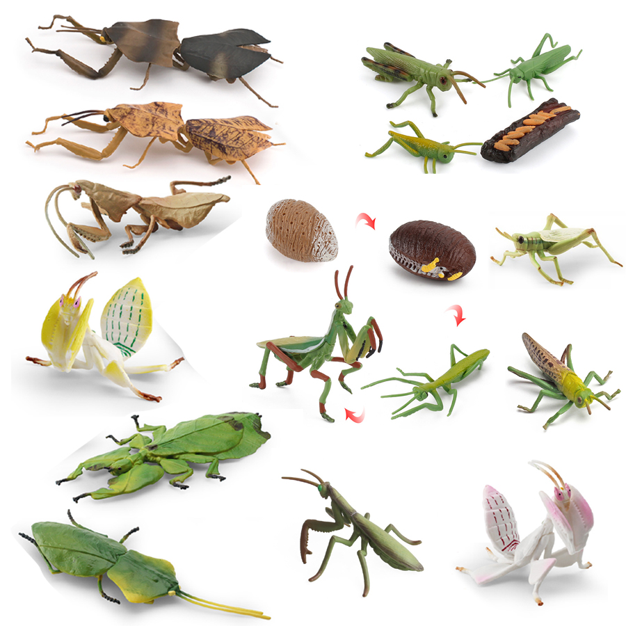 Kids Educational Resources - แมงมุมกล้วยไม้จำลอง แมงมุมใบไม้ขนาดใหญ่ แมลงใบไม้ยักษ์ ตุ๊กตาแมลงตีนตุ๊กแก ของเล่นเสริมการเรียนรู้ ของตกแต่งบ้าน