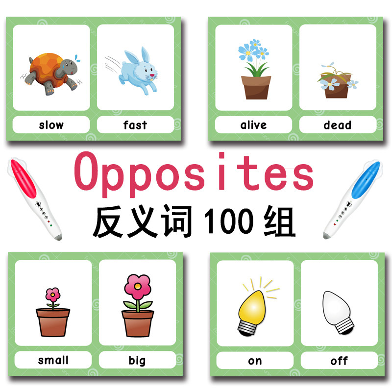 แฟลชการ์ดคำศัพท์ภาษาอังกฤษ 100 - Free Educational Games For Kids บทวิจารณ์และราคา