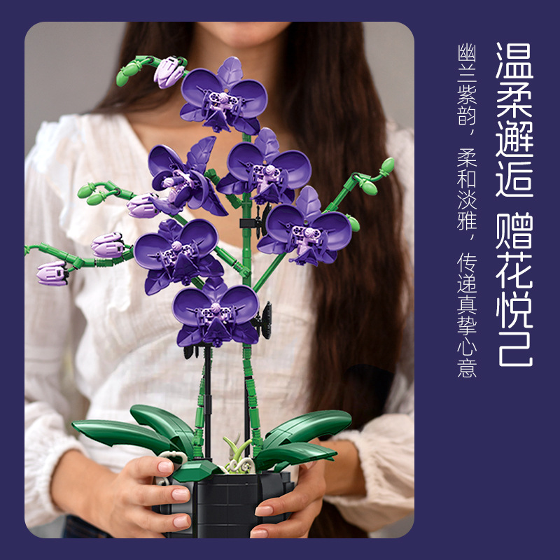 Orchid Plant Building Blocks ช - Orchid Kids Education บทวิจารณ์และราคา