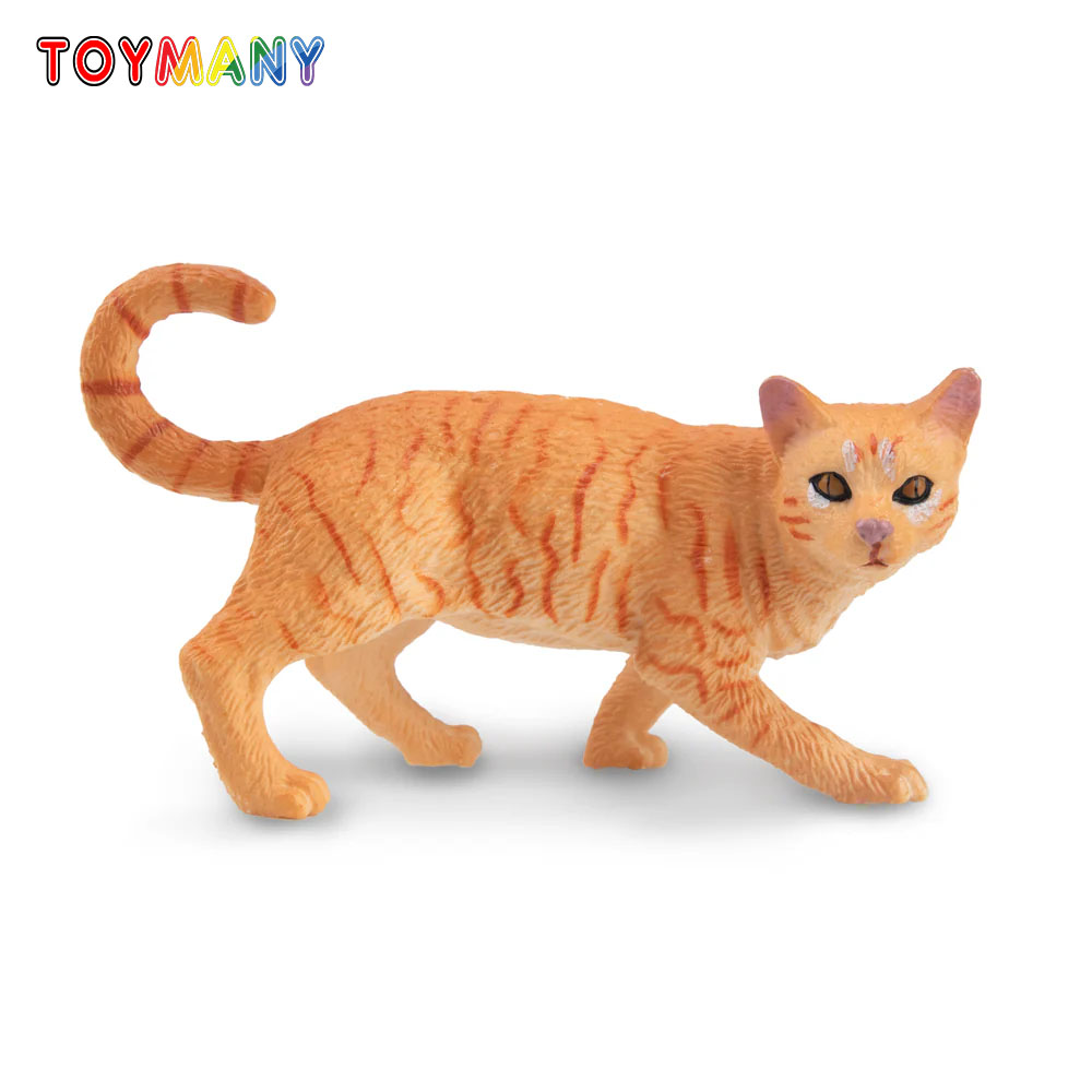 Toymany จําลอง Striding สีส้ม  - Kids Education Yes บทวิจารณ์และราคา